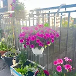 Ctt Bakalarska Appartement