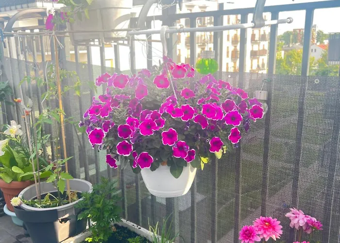 Ctt Bakalarska アパート